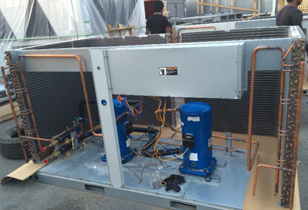 Dumbbell press bride on bosu